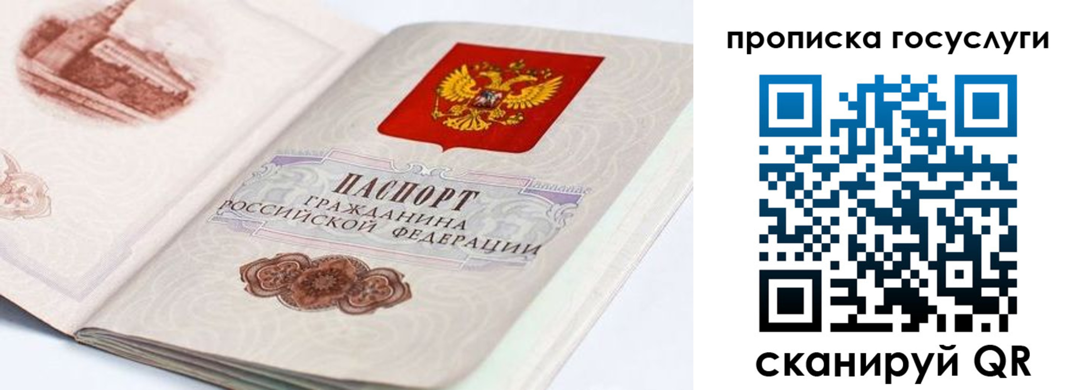 прописка гарантия в Альметьевске